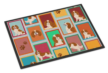 NEW Lots of Blenheim Cavalier Spaniel Doormat Front Door Mat Indoor Outdoor Rugs for Entryway, Non Slip Washable Low Pile, 18H X 27W