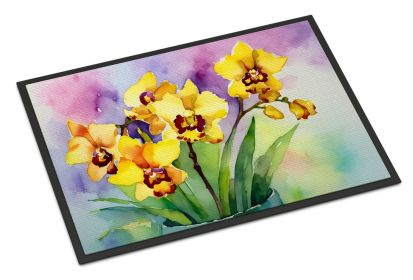 NEW Orchids in Watercolor Doormat Front Door Mat Indoor Outdoor Rugs for Entryway, Non Slip Washable Low Pile, 18H X 27W