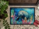 Manatee Doormat Front Door Mat Indoor Outdoor Rugs for Entryway, Non Slip Washable Low Pile, 24H X 36W