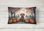 Spooky Halloween Throw Pillow Throw Pillow for Indoor Couch Bed Outdoor Patio Washable, Dachshund 2035,12Hx16W