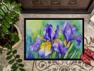 NEW Tennessee Iris in Watercolor Doormat Front Door Mat Indoor Outdoor Rugs for Entryway, Non Slip Washable Low Pile, 18H X 27W