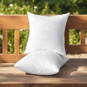 Throw Pillows (Option: W13724785)