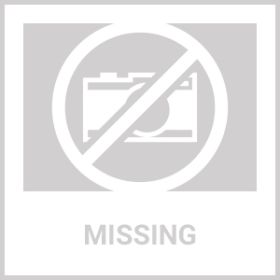 Gofort 330W Portable Power Station, 299Wh Solar Generator Backup Power Supply With 2X 110V AC Outlets, 4X 12V DC Outlets And 4X USB Outlets For O (Option: 299Wh)