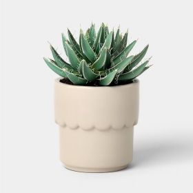 Ceramic Modern Outdoor Planter – Cream, 4"x3.875" For Plants & Succulents (Option: 4)
