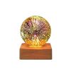 USB 3D Firework Crystals Ball Night Light Plug In Romantic Star LED Night Light Christmas Lights Christmas Home Decorations